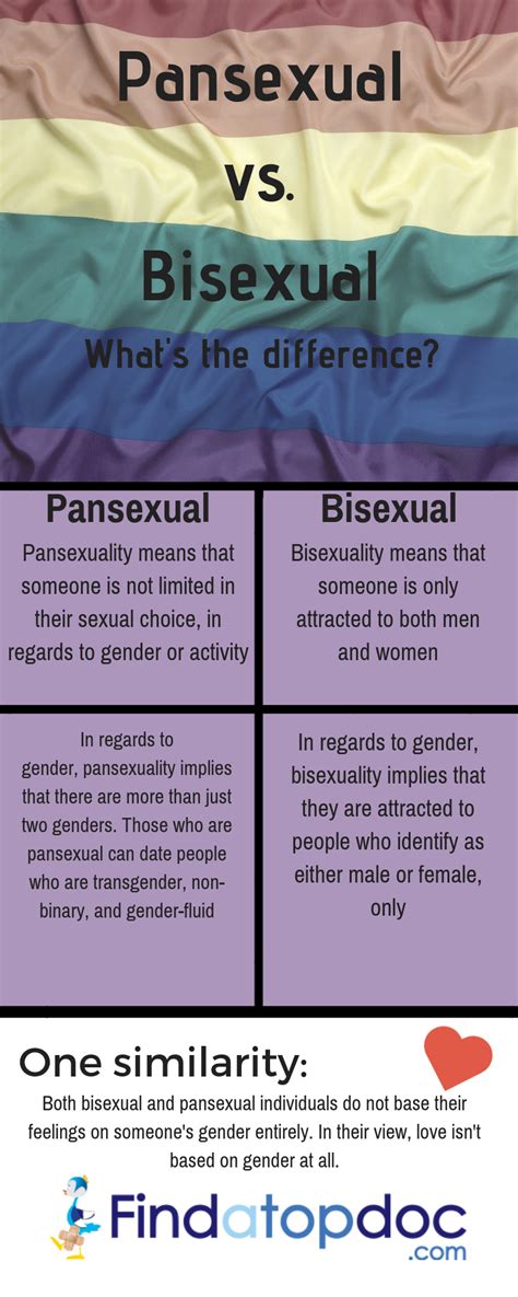 what is pansexual|Pansexual: Meaning, origins, signs, and myths